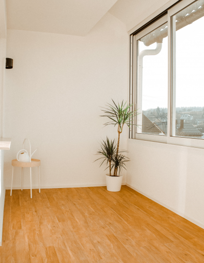 Heller Raum mit Fensterpflanze